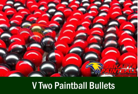 V Two Paintball Bullets
