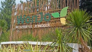 Paintball Wonderful Jonggol (WonJo) Bogor
